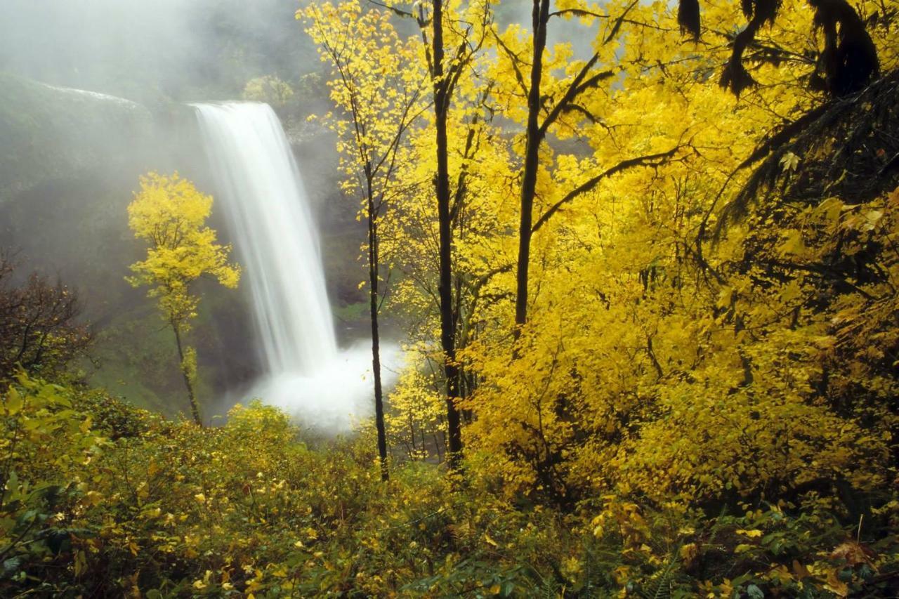 Silver Falls Lodge & Conference Center Sublimity 外观 照片